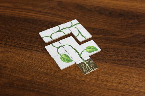 Pruning a vine to get rid of unwanted tiles